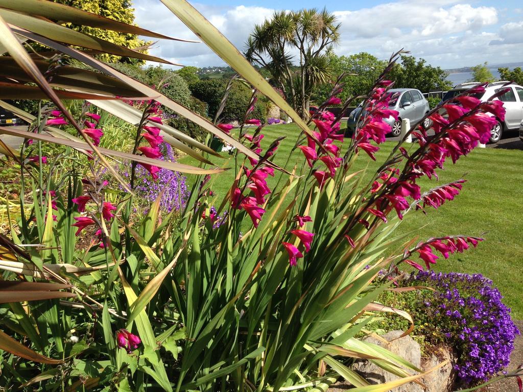 Apartment Sunningdale Torquay